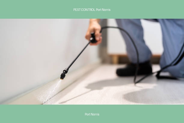 PEST CONTROL Port Norris